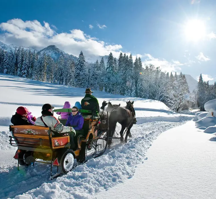 Horse-drawn sleigh ride through a snowy winter landscape in the sunshine.