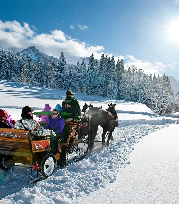Pferdeschlittenfahrt durch eine verschneite Winterlandschaft bei Sonnenschein.