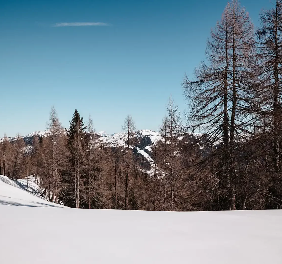 Winterliche Ruhe und Weitblick – verschneite Landschaft mit Ausblick auf die Salzburger Alpen rund um das Hofgut Wagrain, perfekt für unvergessliche Naturmomente.