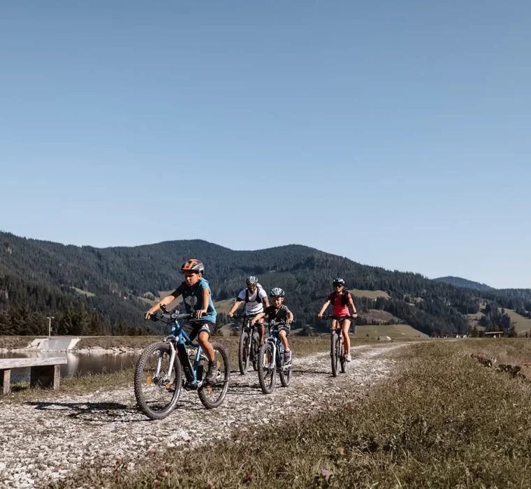 A family rides their bikes on a gravel track through a mountain landscape with lush meadows and forests.