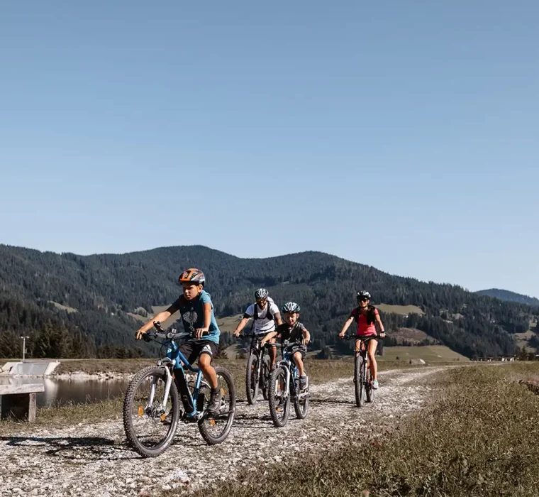 Eine Familie fährt mit Fahrrädern auf einem Schotterweg durch eine Berglandschaft mit üppigen Wiesen und Wäldern.