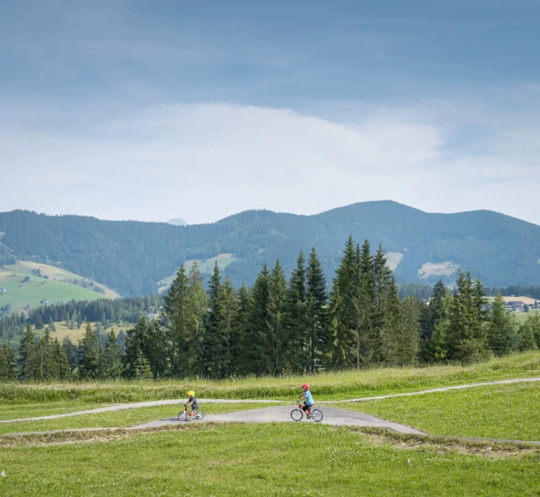 Cycling fun for the whole family - bike trails suitable for children in the midst of nature around Hofgut Wagrain.