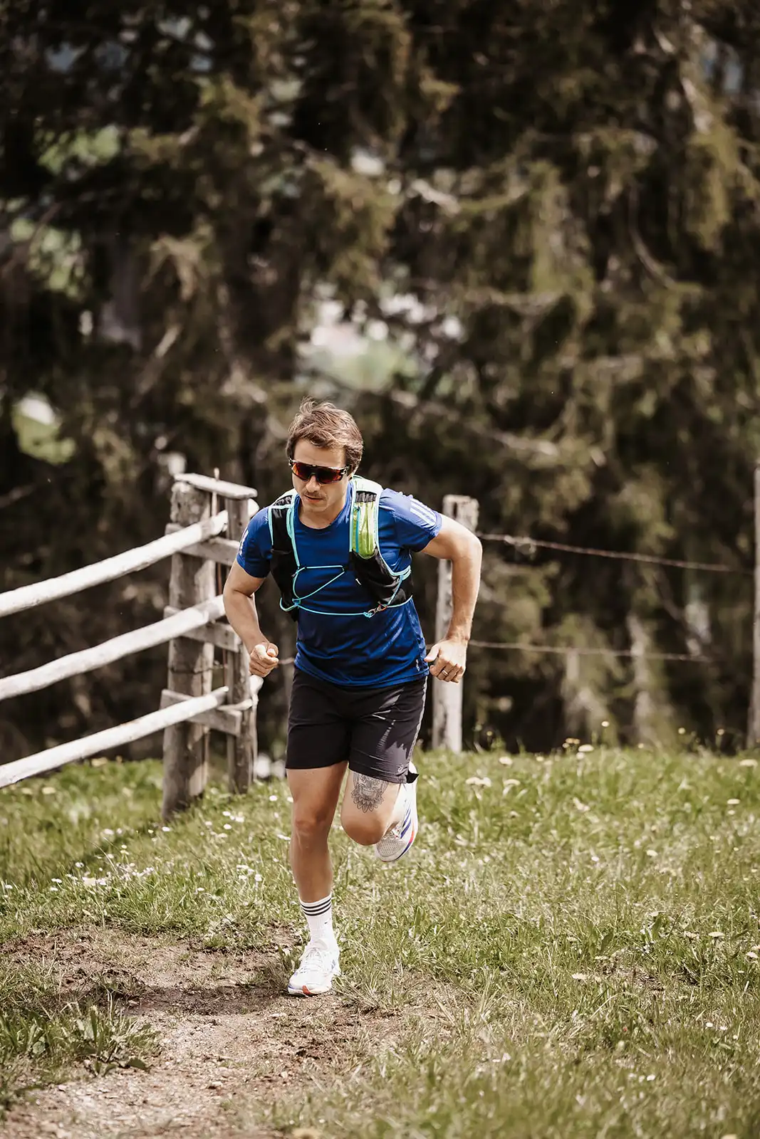 Trailløb med udsigt - sporty løbere på en energisk opstigning på en natursti omkring Hofgut Wagrain, omgivet af grønne enge og alpin flair.