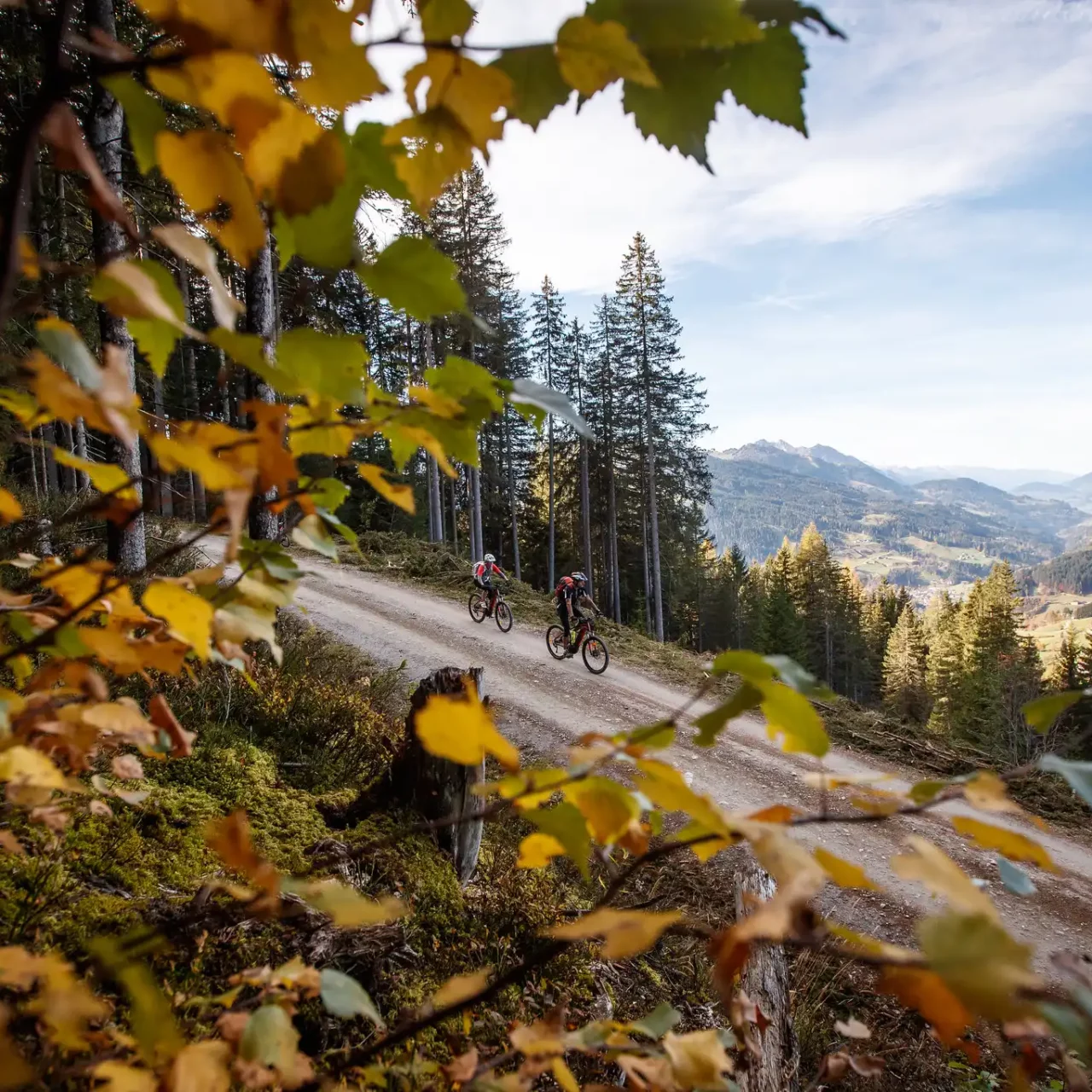 To mountainbikere på en panoramasti med udsigt over Salzburger Land - gyldent efterår i Wagrain.