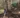 Young boy practises archery on the 3D course in the forest near Hofgut Wagrain