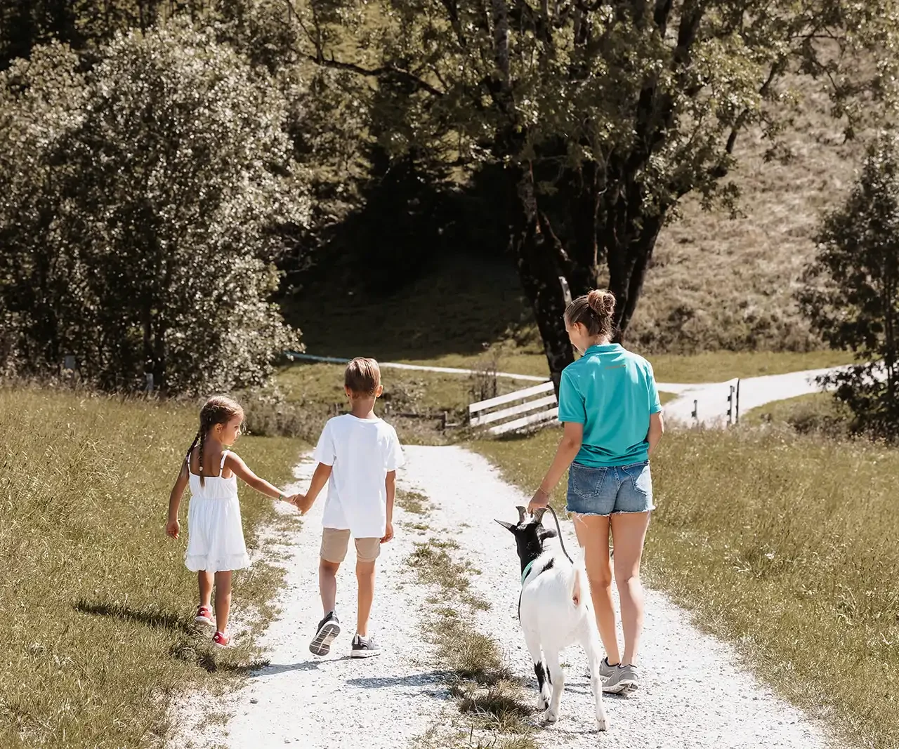 Carer leads a goat on a lead while a boy looks at it curiously.