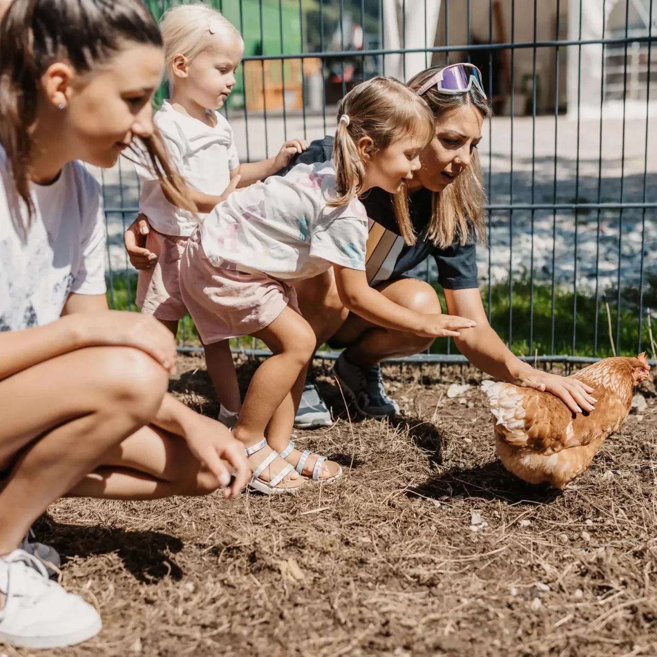 Kinder beim Streicheln eines Schafs im Streichelzoo vom Hofgut Wagrain