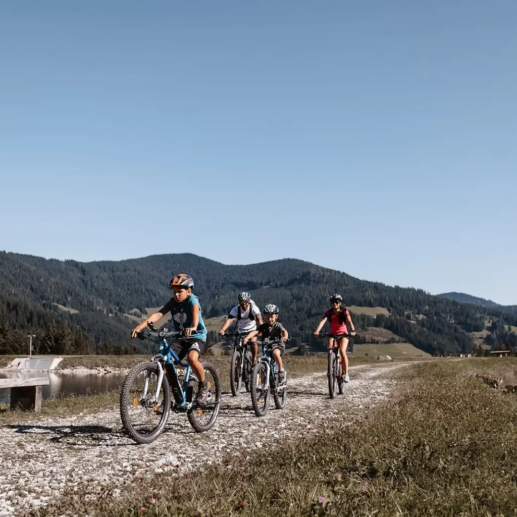 A family rides their bikes on a gravel track through a mountain landscape with lush meadows and forests.