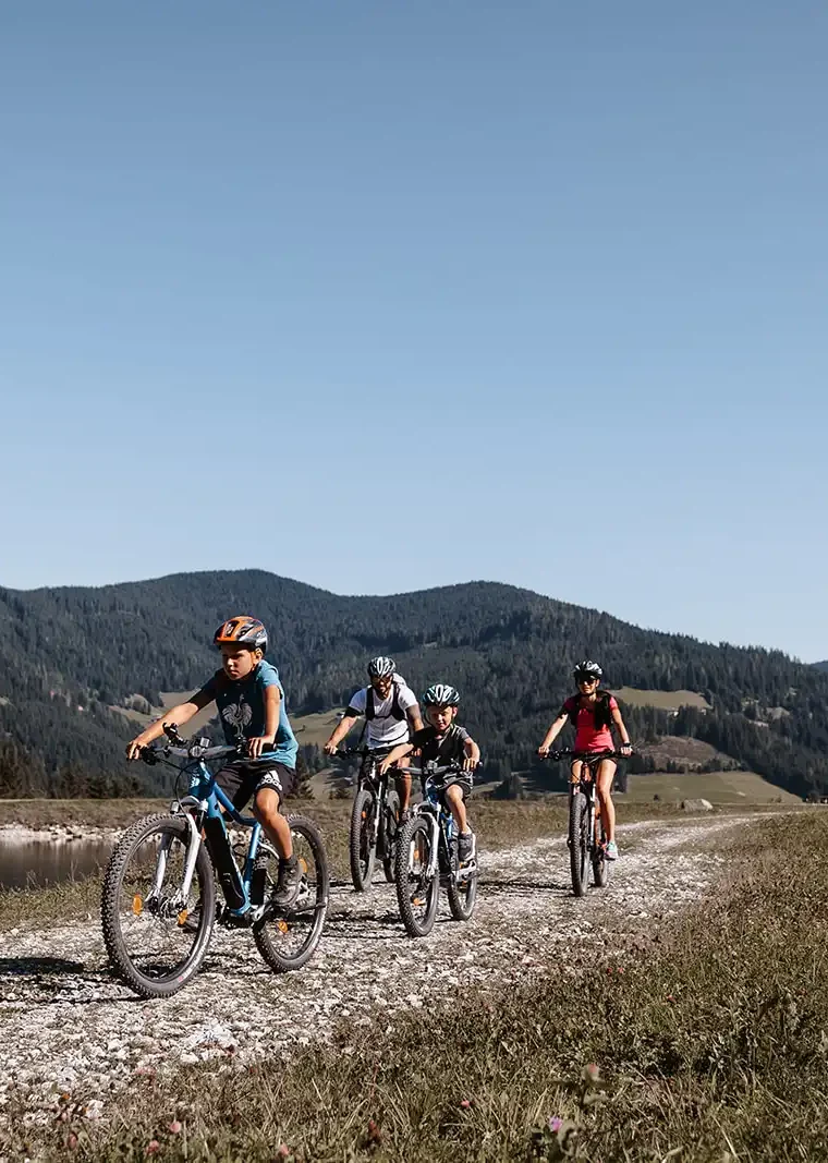 Eine Familie fährt mit Fahrrädern auf einem Schotterweg durch eine Berglandschaft mit üppigen Wiesen und Wäldern.