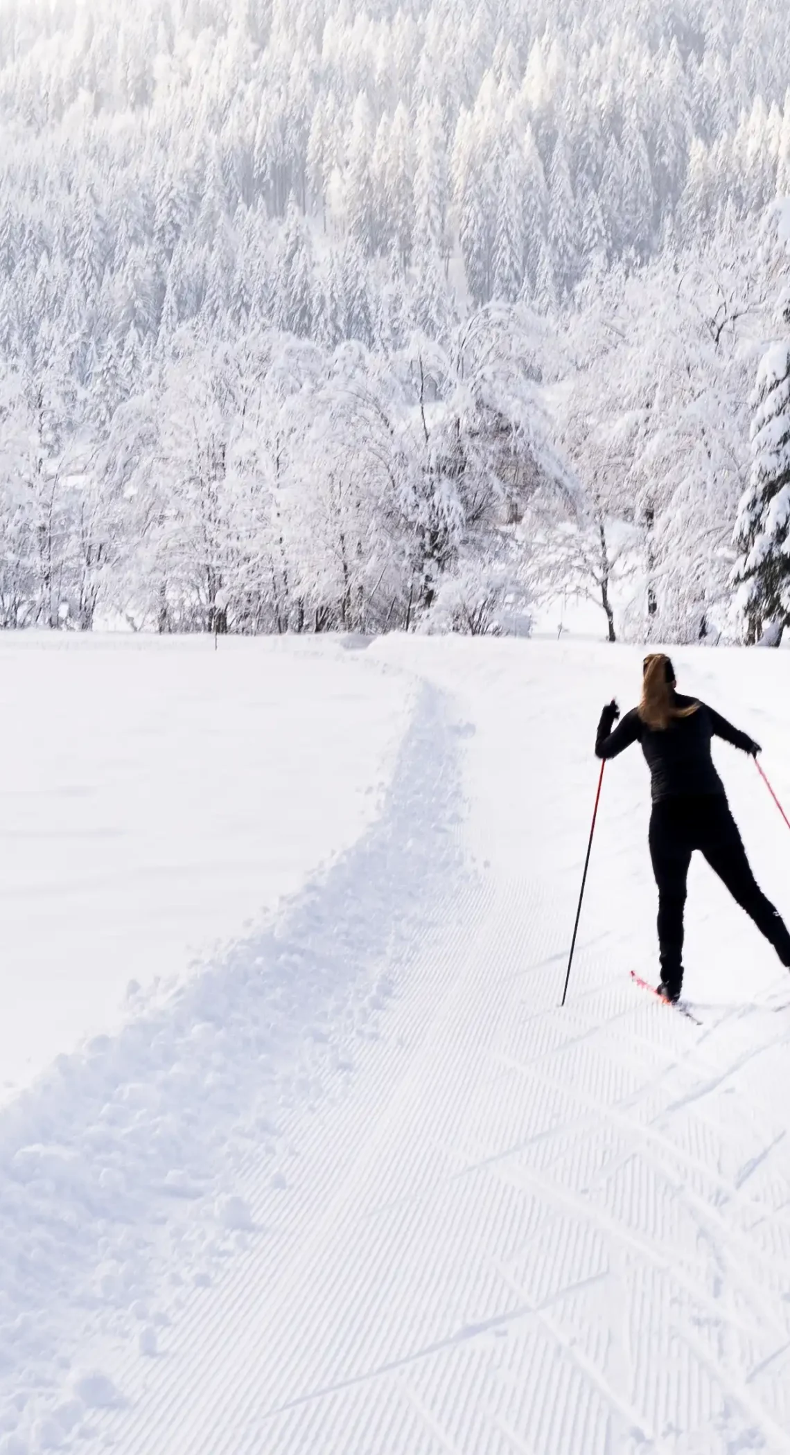 Langläuferin auf der Loipe in der verschneiten Winterlandschaft von Wagrain-Kleinarl