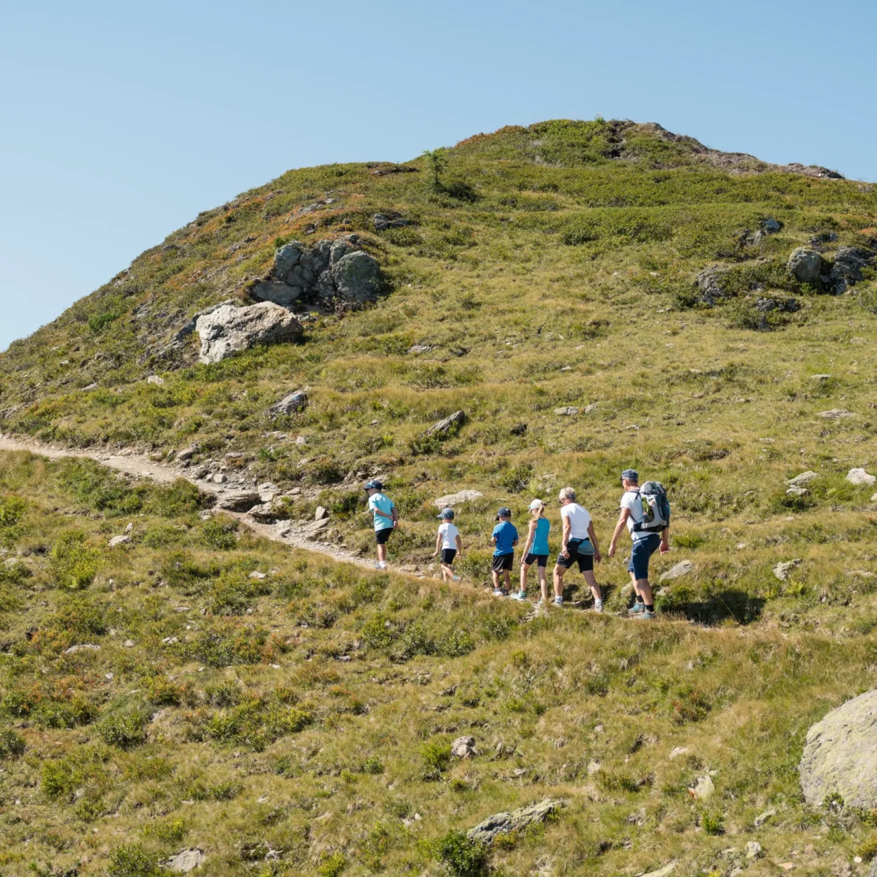 Familie mit Kindern wandert auf einem schmalen Bergpfad durch eine weitläufige, sonnige Almlandschaft hinauf in Richtung Gipfel.