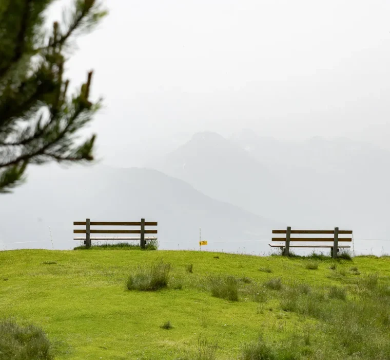 Zwei Holzbänke auf einer sanften, grünen Almwiese mit Blick auf nebelige Berge im Hintergrund; links ragt ein Tannenzweig ins Bild.